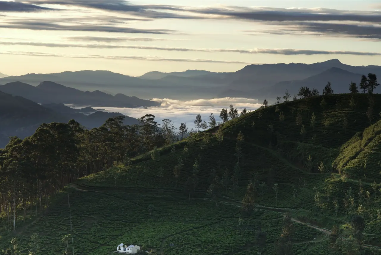 Captivating view of Mandaramnuwara in Sri Lanka with lush hills and distant misty mountains.